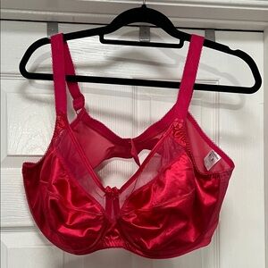 Goddess Vibrant Pink Satin Bra